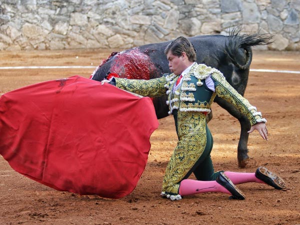 Colofn de hinojos