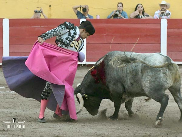 Conectado con el tendido