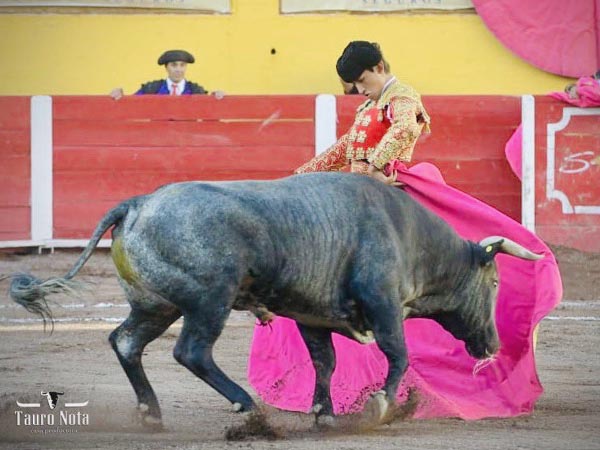 El quite por chicuelinas