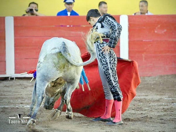 Plantado en la arena