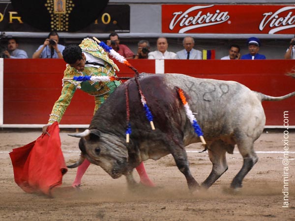 Largueza capitalina