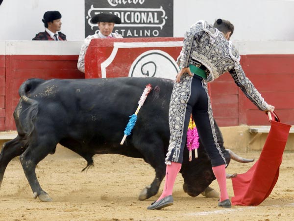 Metiendo la cara abajo