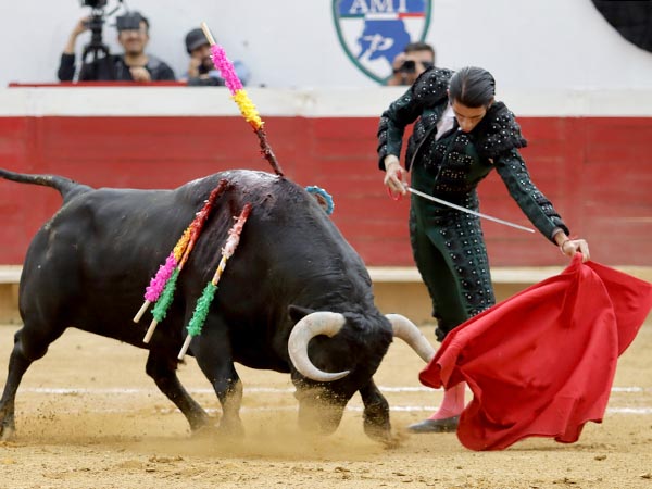 Humillado en la embestida