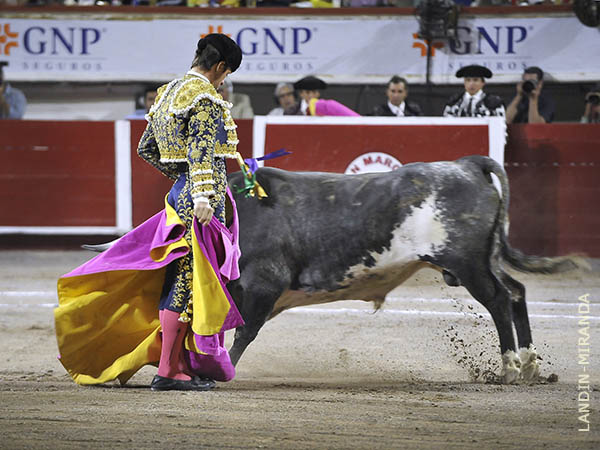 Chicuelinas al Montecristo