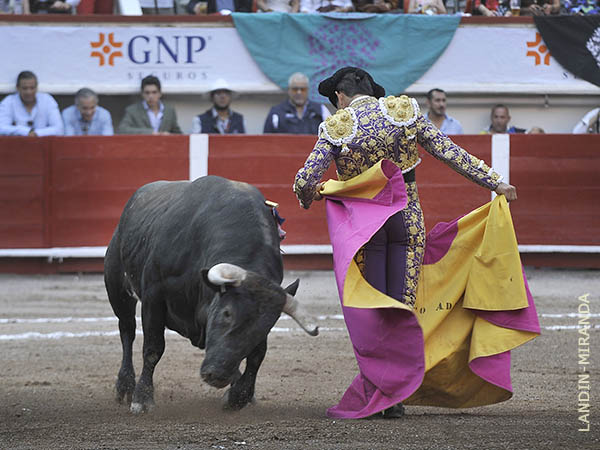 Lucido en las chicuelinas