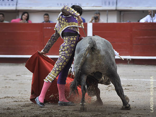 Faena de altos vuelos