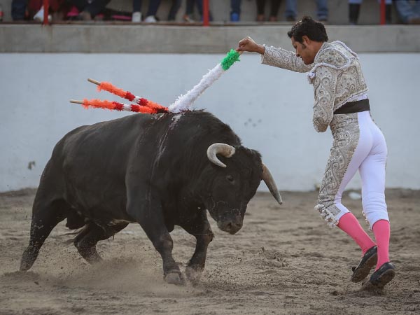 De los maestros Angelinos