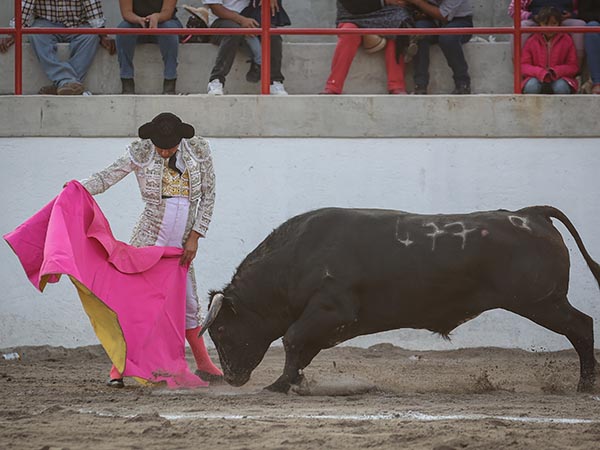 Saludo capotero