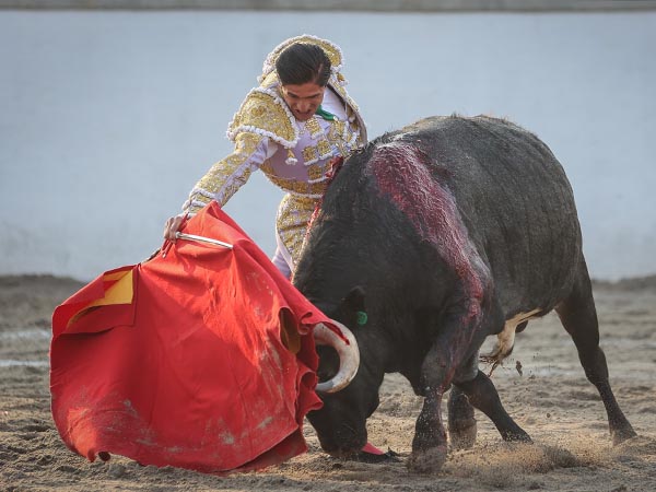 Ceido y templado