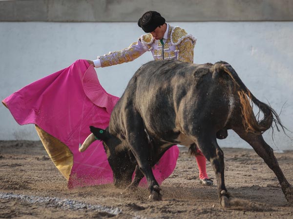 Ahormando al crdeno