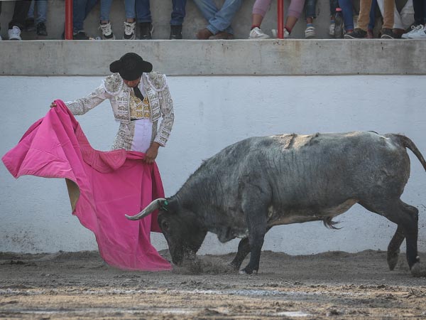 El primer toro para Angelino