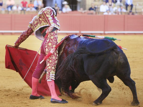 Lucida faena a su segundo