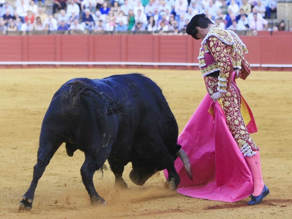 Conjuncin de ejemplar y torero