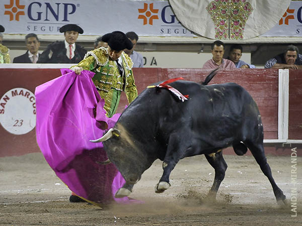 Vernicas de Juan Luis