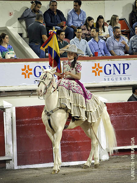 Desfile de las cinco banderas