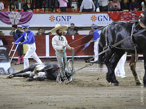 Palmas, arrastre lento al 