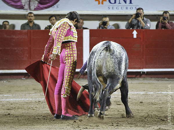 Acariciado en cada muletazo