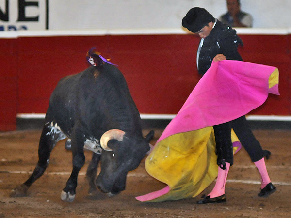 Galindo se abre de capa