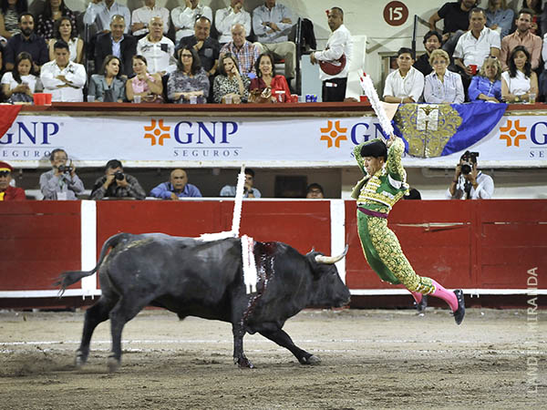 El vuelo de Luis David