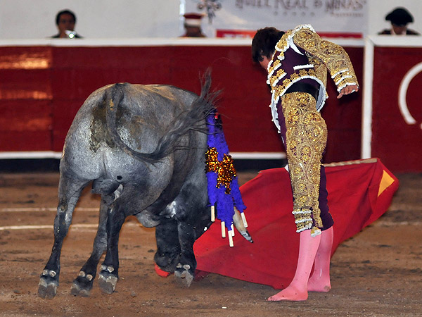 Estirndose Alejandro Corona