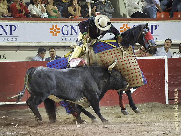 Jos Prado luci en el puyazo