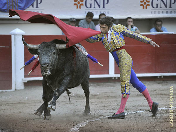 Robleo, en el gusto hidroclido