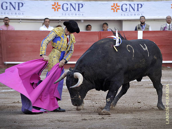 Fernando Robleo, primer espada