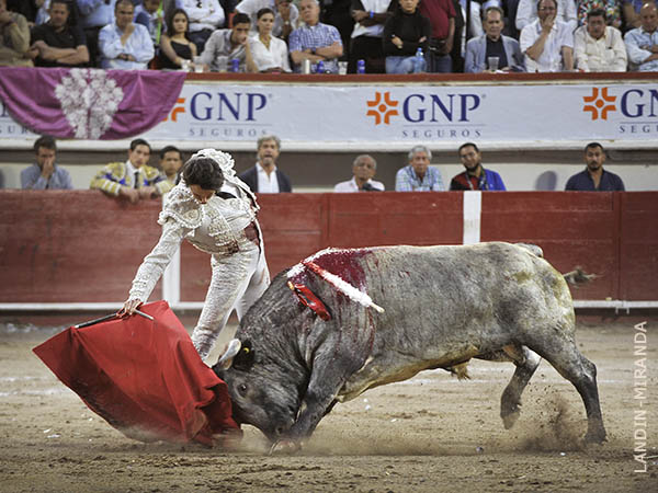 Faena en los medios