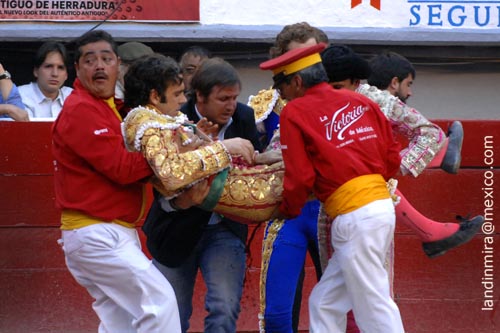 La vista en la herida