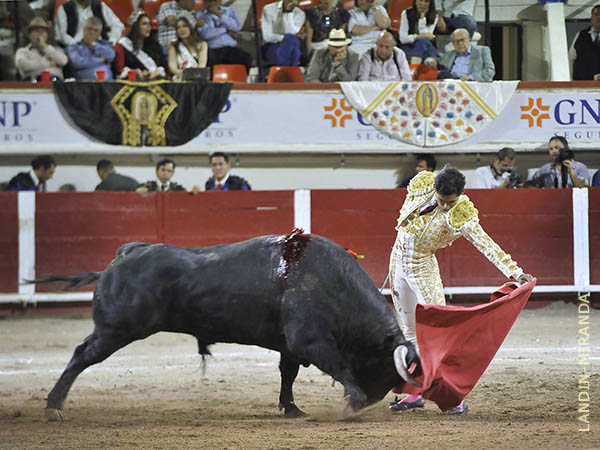 Inteligente, centrado y torero