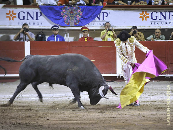 Alejandro con el octavo