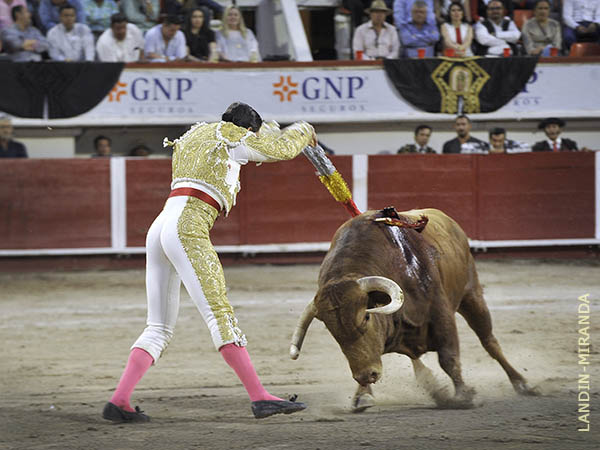 Cubri el tercio de banderillas