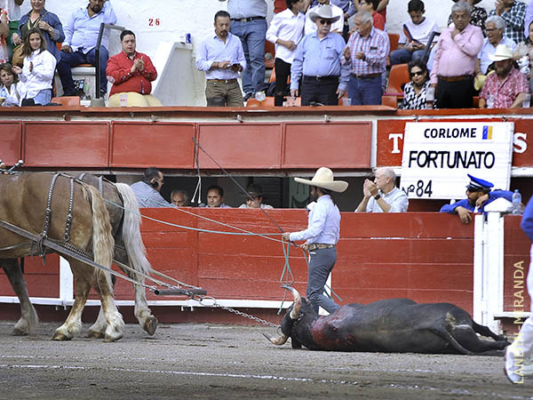 La vuelta al ruedo de 