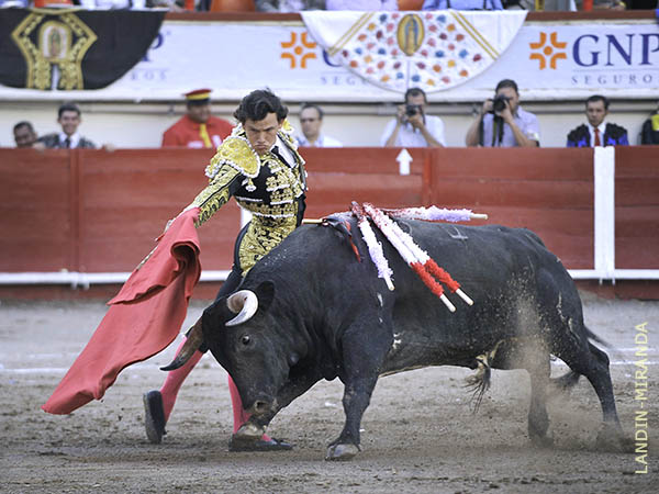 Fundidos, toro y torero