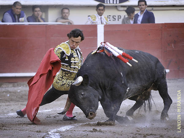 Fijo en el engao