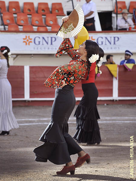 Grana y azabache