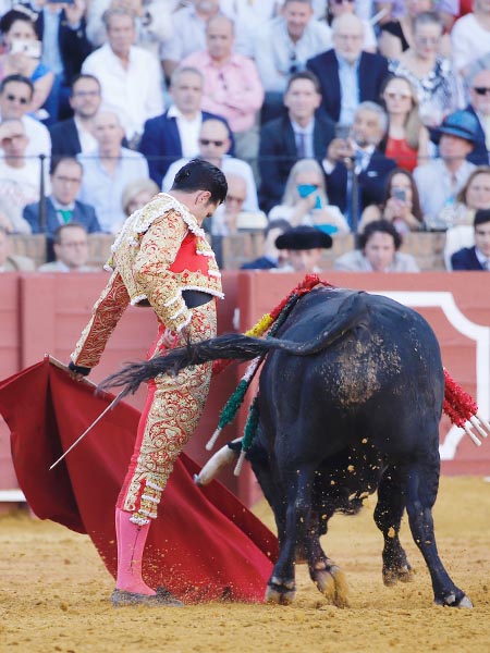 Sentimiento torero