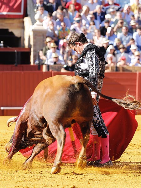 La faena del madrileo