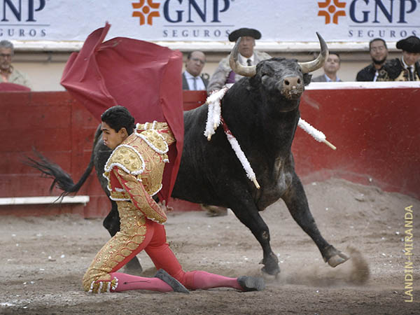 Equilibrio entre arroyo y clase