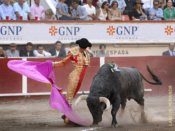 Un gran toro de Los Encinos