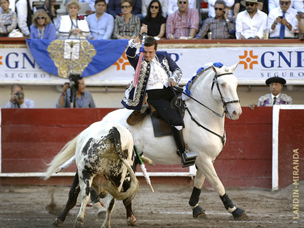 Clav el rejn con acierto