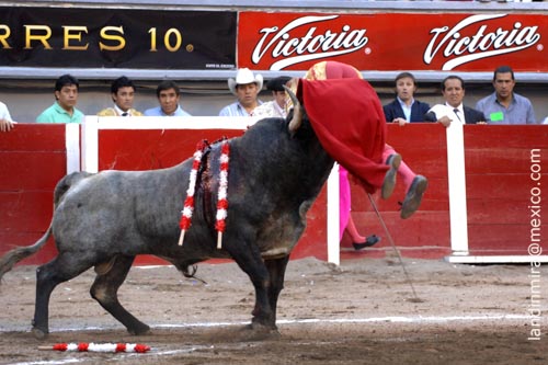 Levantado en vilo