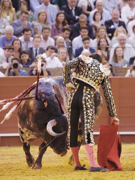 Torero de poder