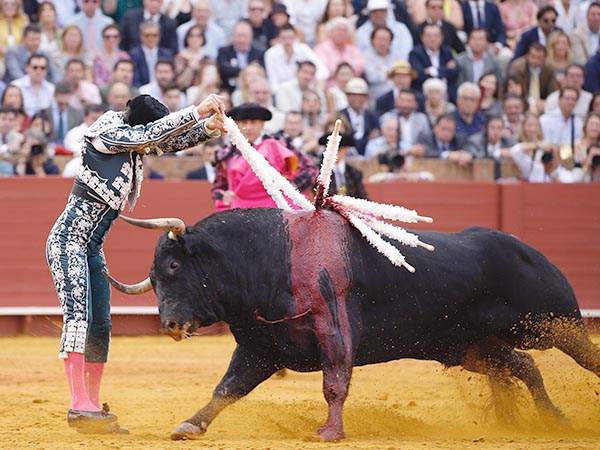 Ovacionado en el par