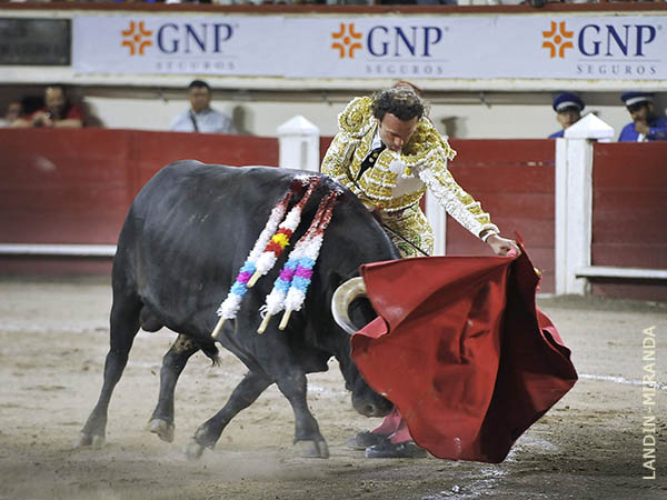 A veces meta la cara, luego topaba