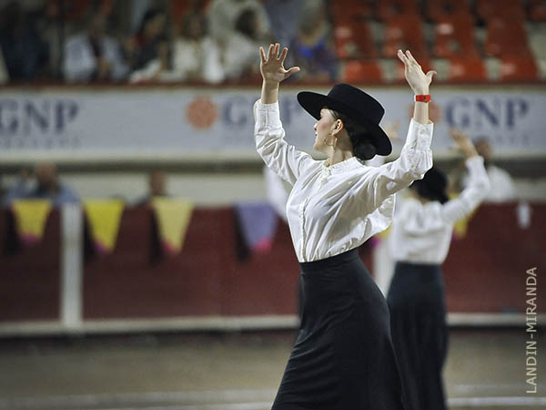 Ay... fiesta bonita!