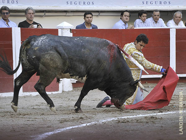 Inicio en el tercio