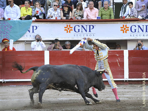 Jaleado en las banderillas