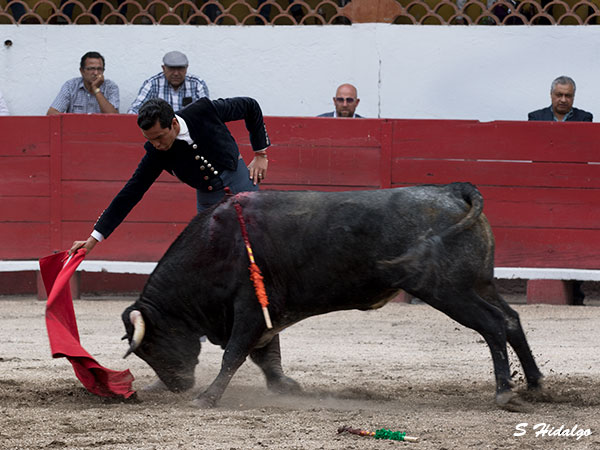 Templando la embestida