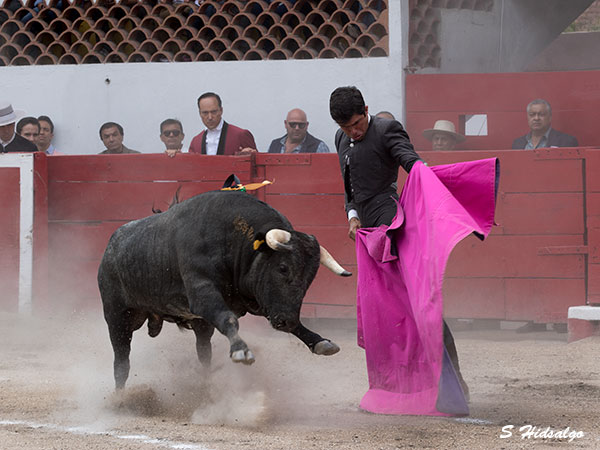 Aguantando la embestida